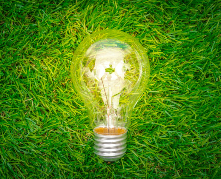 concepto-eco-bombilla-crece-hierba