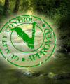 Green Certifications: How Solar Energy Can Boost Your Company’s Competitiveness and Sustainability