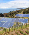 Solar Energy for the Agricultural Sector: How to Reduce Costs and Cultivate Sustainability